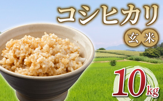 令和6年産 新米！有機肥料使用のコシヒカリ 玄米 5kg｜長野県東御市 - 長野県東御市｜ふるさとチョイス - ふるさと納税サイト