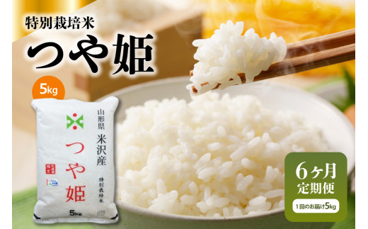 yR`đszy6ցz ߘa7NY ʍ͔| P 5kg × 6 v30kg R` đY 