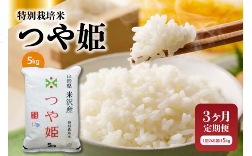 yR`đszy3ցz ߘa7NY ʍ͔| P 5kg × 3 v15kg R` đY 