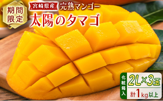 完熟マンゴー＜太陽のタマゴ＞2L×3玉（計1kg以上）化粧箱入 宮崎県産 