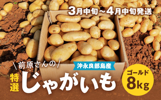 2026年先行予約】前原さんの特選じゃがいも ゴールド8kg C062-001