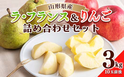 2025年先行予約》山形県産 ラ・フランス りんご 詰め合せ 3kg(10玉前後