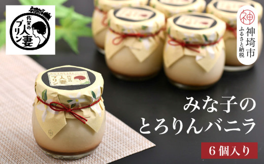 佐賀の人妻プリン【子供に食べさせたいプリン】みな子のとろりんバニラ