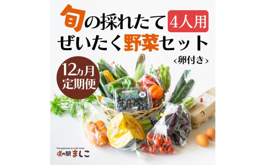 12カ月定期便＞旬の採れたてぜいたく野菜セット（卵付き）4人用 益子町