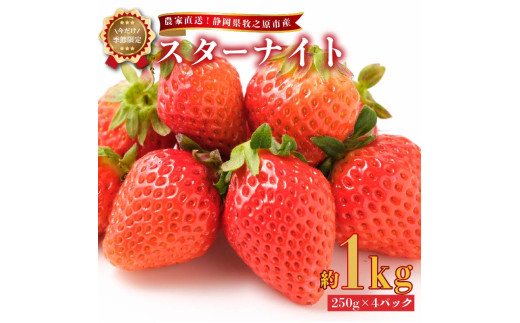 期間限定】 2026年2月中旬から順次発送 いちご 【スターナイト】 1kg