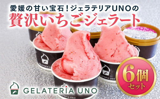 愛媛産贅沢いちごジェラート6個セット ｜ 鬼北町 あかまつ農園 レッド