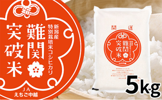 №5882-0084]令和7年産 難関突破米 5kg お米 コシヒカリ - 新潟県田上町