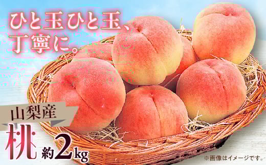 【山梨県山梨市】<2026年発送>山梨市産 桃 約2kg【1465104】