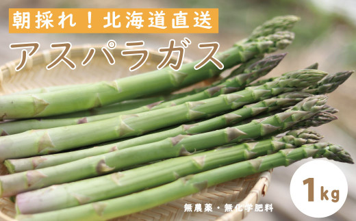 ykCzy2026NY\tzkCYAXpKX  1kg@͔|Ԓ_Ew엿