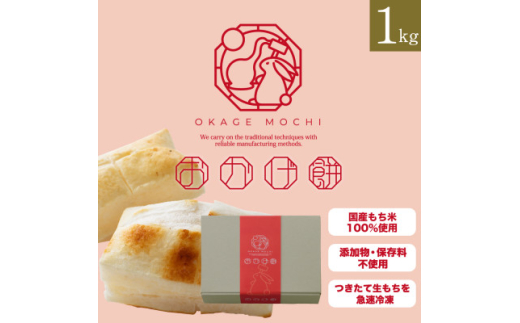 y򕌌Hsz 1kgy1569144z