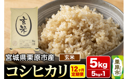 y{錧Iszs12tyߘa7NYEāz{錧IY RVqJ 5kg (5kg×1)×12