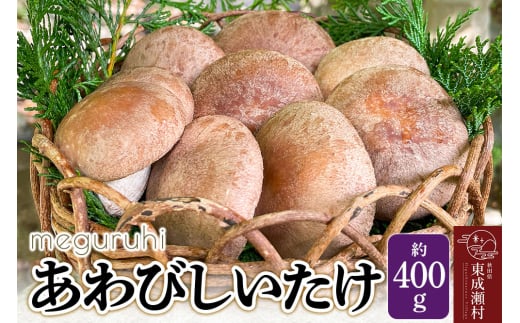 meguruhi あわびしいたけ（約400g）菌床 椎茸 シイタケ きのこ