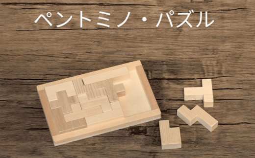 木製ブロック ペントミノ・パズル 知育玩具 脳トレ リハビリ 積み木