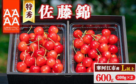 疑似餌小25本中25本 土佐丹吉 更に大特価 先行予約】令和8年産 特秀品 さくらんぼ「 佐藤錦 」600g (300g×2