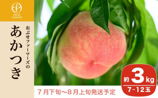 もも様　生栗　3キロ　クール便 もも様 生栗 3キロ クール便 Amazon.co.jp: 「銀寄栗2L3」