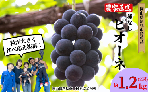 村本ぶどう園 ピオーネ 約1.2kg 2房 【先行予約 2026年9月中旬から順次