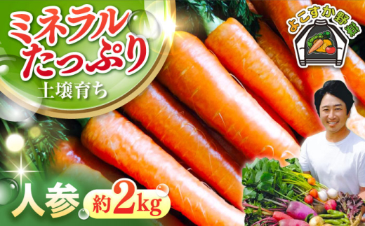 先行予約】人参セット 約2kg 野菜 やさい 【鈴也ファーム】 [AKCE013