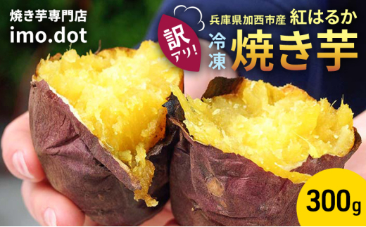 yɌszyAzⓀ ₫ 300g g͂邩  s imo.dot X ܂     Ⓚ₫ ⓀĂ ₵Ă َq   XC[c