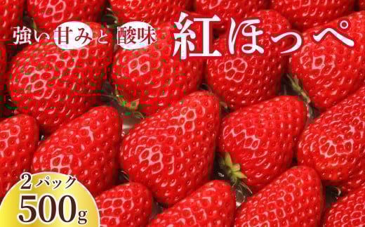 yʌvsz gق 250g×2pbN v500g b  C`S  Xgx[ x[ Gߌ ʕ  t[c    Â ق̂Ȏ_ fU[g XC[