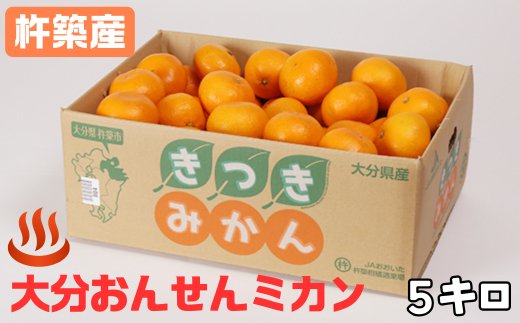 大分おんせんミカン「温州みかん 5kg（秀品）」＜132-017＞ - 大分県