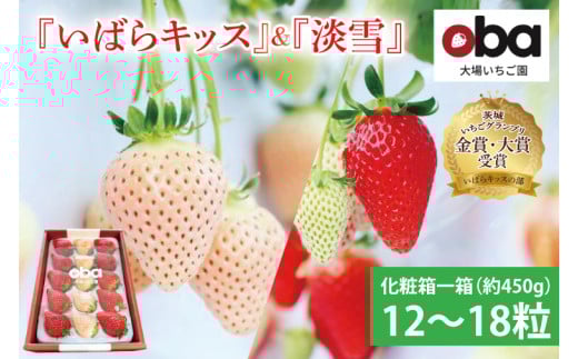 y錧ˎszy12{菇zyʌz錧IWiiw΂LbXxƊ󏭂ȃv~AC`SwWxgϔꔠi12`18jy  t[c 