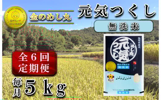 ysszCE-085_yւUzߘaVNāqār@̂߂یC 5Kgi1܁j×U