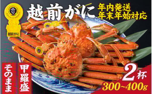 y䌧szys\zIׂIyOIzzOɁi300`400gj×2tyNENNnΉzpyE-028032_06z/  䌧  IX Y YCKj {C ① z