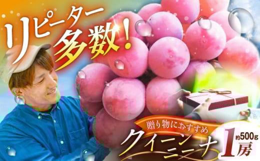 y_szt[cy2026Ns\zy20zypzs[^[oINC[j[i 1[i500gjGiEϔ  Ԃǂ  炲 Ȃ ʕ Y Yn {