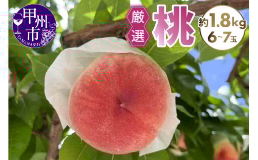 yRbBszI 1.8kgi6`7ʁjy2026NziSFNjA09-1011 y   ߘa8N Ԍ RY bBs t[c ʕz