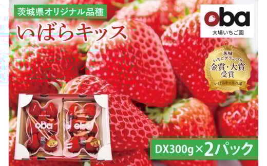 y錧ˎszy12{菇zyʌz錧IWiiw΂LbXxDX300g×2pbNy  t[c ʕ  ˎs 錧ziDO-3j