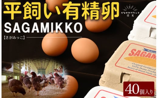 3ヶ月定期便】《かながわブランド認定》平飼い有精卵さがみっこ 30個×3か月| 平飼い ケージフリー 卵 有精卵 鶏卵 玉子 たまご 生卵 国産 濃厚  コク 旨味 ※離島への配送不可 - 神奈川県相模原市｜ふるさとチョイス - ふるさと納税サイト