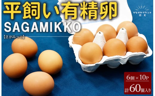 3ヶ月定期便】《かながわブランド認定》平飼い有精卵さがみっこ 30個×3か月| 平飼い ケージフリー 卵 有精卵 鶏卵 玉子 たまご 生卵 国産 濃厚  コク 旨味 ※離島への配送不可 - 神奈川県相模原市｜ふるさとチョイス - ふるさと納税サイト