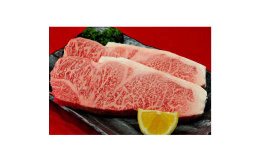 y{錧z䋍T[CXe[L@600g(300g×2/2l)y1541363z