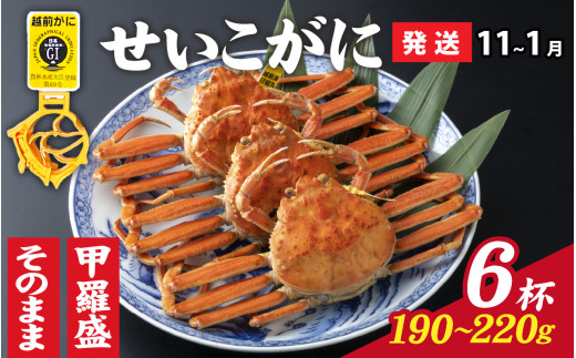 y䌧szys\zIׂIyOIz Ɂi190g`220gj×6ty11`1zp [J-028054_06] / YCKj p zO  I ^I ZCRI zO 