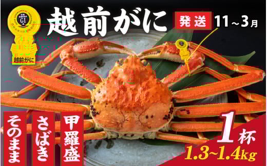 y䌧szys\zIׂIyOIzzOɁi1.3kg`1.4kgj×1ty11`3z b [P-028051_07] / 䌧  IX Y YCKj {C ① zOKj z
