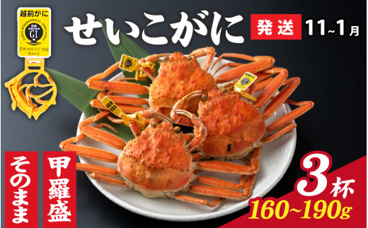 y䌧szys\zIׂIyOIz  i160g`190gj×3ty11`1zp [C-028040_06] / YCKj p zO  I ^I ZCRI zO 
