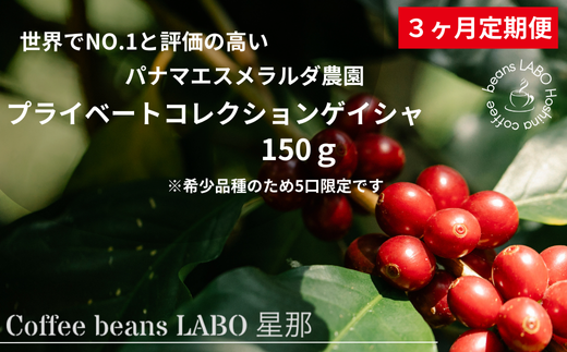 定期便3ヶ月】パナマエスメラルダ農園 プライベートコレクションゲイシャ 150g - 岐阜県大垣市｜ふるさとチョイス - ふるさと納税サイト