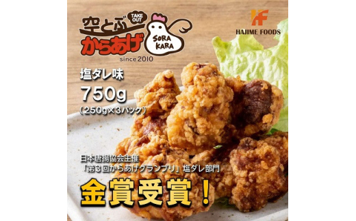 空とぶからあげ 750g(250g×3パック)オカンの特性塩ダレ味 電子レンジで
