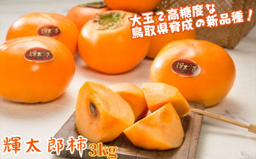 y挧zy2026NstzPY` 3kg