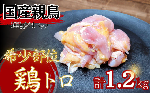 y쌧szy󏭕ʁzYě{g1.2kgi300g×4pbNj