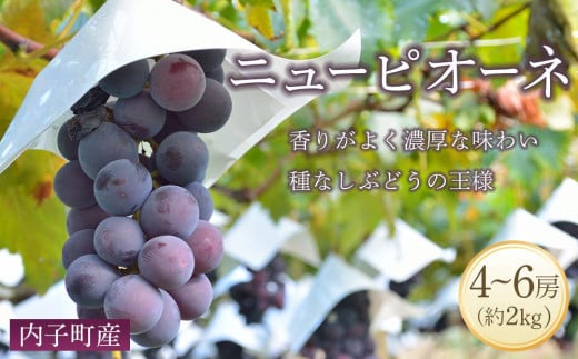 先行予約】内子町産 シャインマスカット ムジ 3～5房 約2kg ☆2025年8月下旬から発送☆【シャインマスカット 大人気 愛媛県 シャインマスカット  美味しいシャインマスカット 人気 シャインマスカット 美味しいシャインマスカット 葡萄 シャインマスカット 愛媛県産 ...