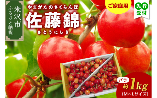 yR`đszys\z yʌz ߘa8NY ƒp 󂠂   ol 1kg 2026N6{`{͂\