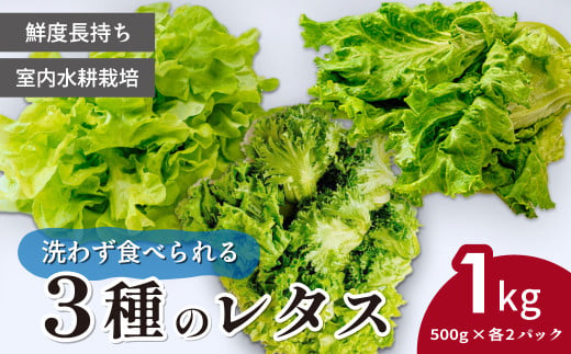 ＜洗わず食べられる・室内水耕栽培＞ 3種のレタス 各500g×2パック 1kg - 埼玉県東松山市｜ふるさとチョイス - ふるさと納税 -  ふるさとチョイス