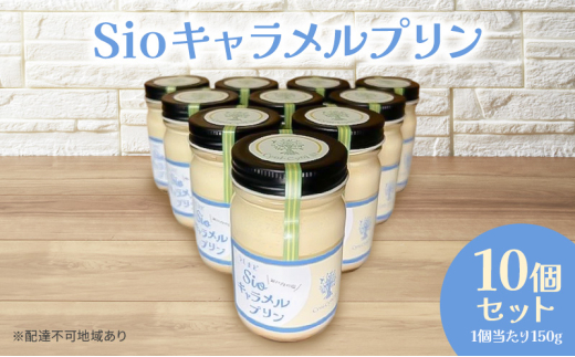 yR˓szSio Lv 150g×10p Zbg v XC[c fU[g R ˓s [5735-2073]