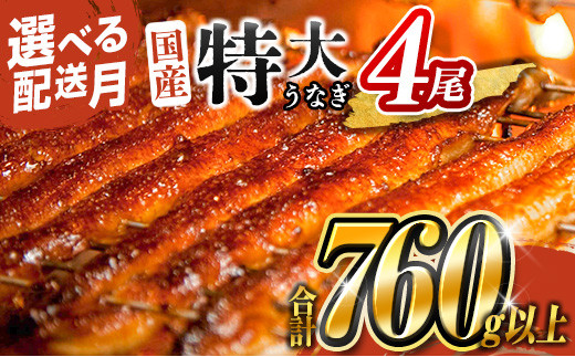 鰻楽 九州産 うなぎ蒲焼 (きざみ) 10袋セット | うなぎ 鰻 ウナギ 