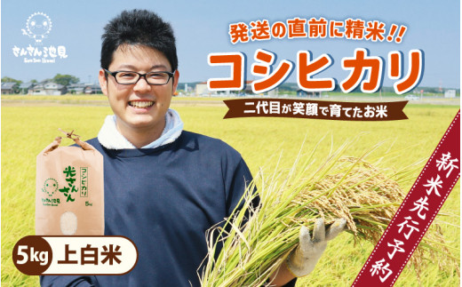 福岡県産 コシヒカリ 藁 約10キロ はずみ
