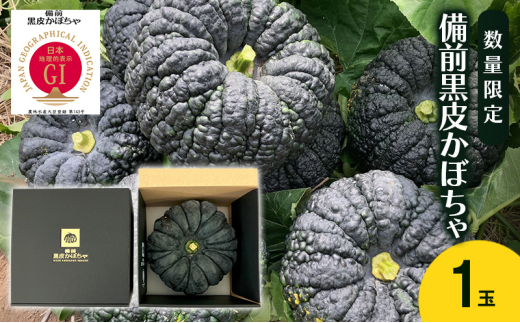 かぼちゃ sd1_8c8f595d4bc3d1eca736171c9f