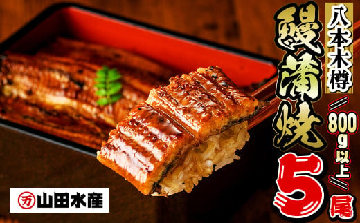 数量限定】国産 八本木樽鰻の蒲焼(160g以上×5尾) うなぎ 鰻 ウナギ 5尾 国産 九州産 蒲焼き かばやき 冷凍 うな丼 うな重 ひつまぶし  タレ 山椒 ランキング 人気 c0-118 - 鹿児島県志布志市｜ふるさとチョイス - ふるさと納税サイト