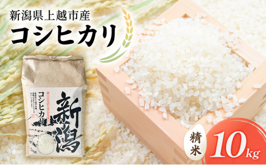 yVzszV ߘa7N VzsY RVqJiʍ͔|āj 10kg 10L  Ђ R{_   V z