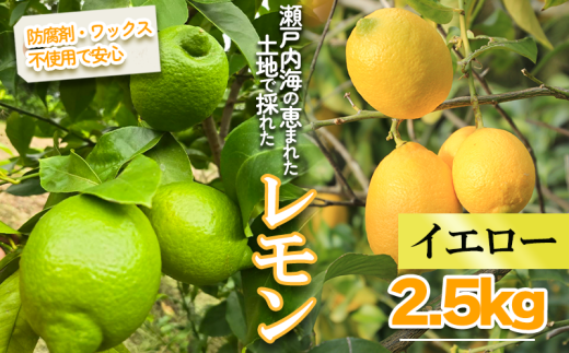 yQRszy2026N1菇zCG[ 2.5kg bʕ  t[c   EG VN 񂫂 k hܕsgp bNXsgp O[ [